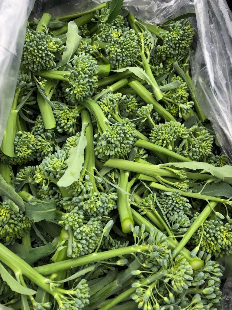 Broccolini (5oz)